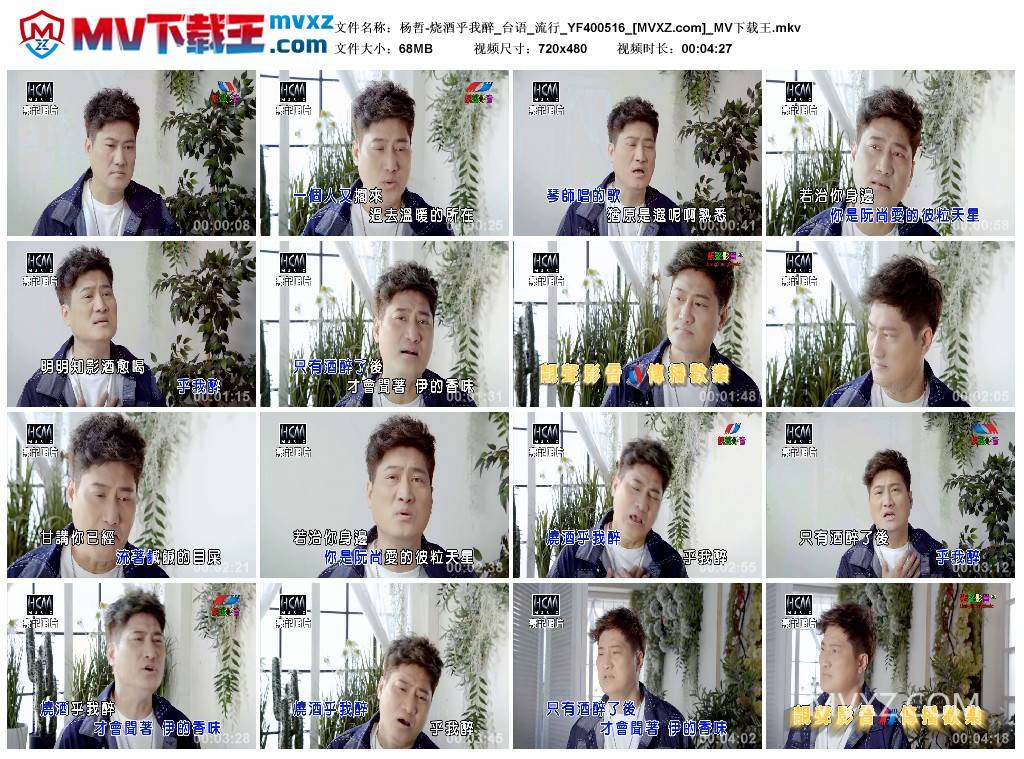 杨哲-烧酒乎我醉_台语_流行_YF400516